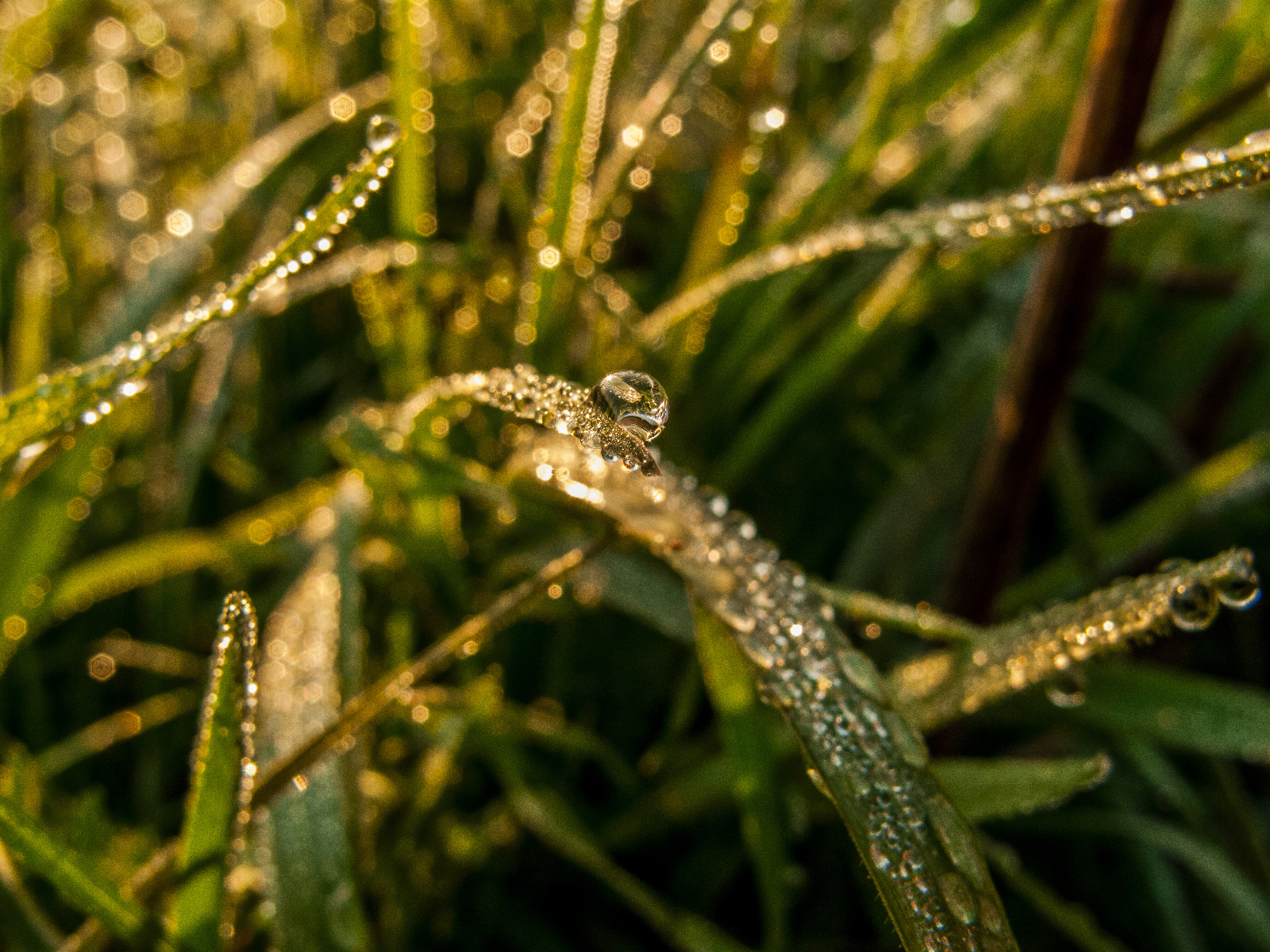 IMG 0850 (321 von 362)